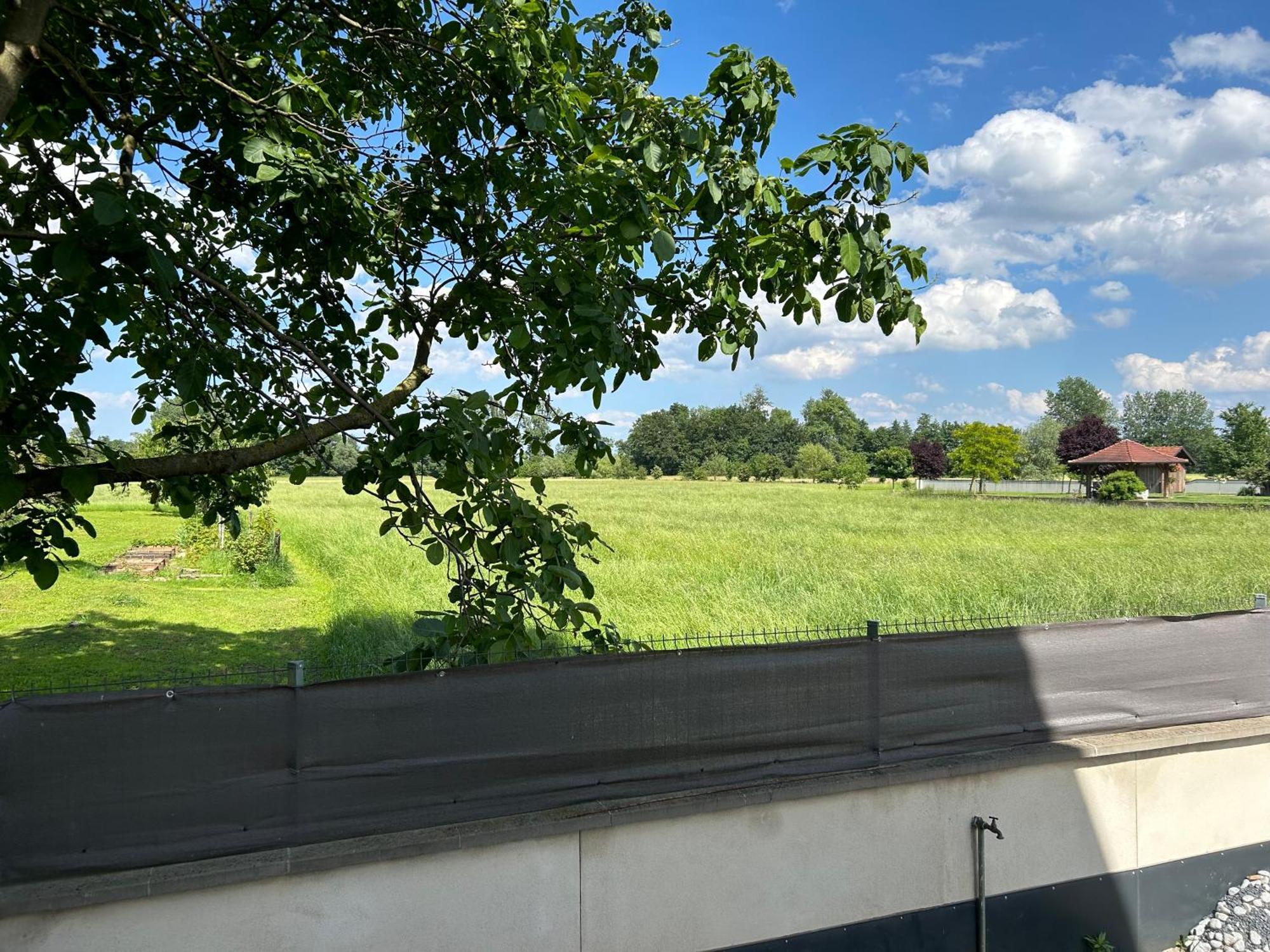 Charmant Studio Avec Terrasse Ebersheim Exterior foto